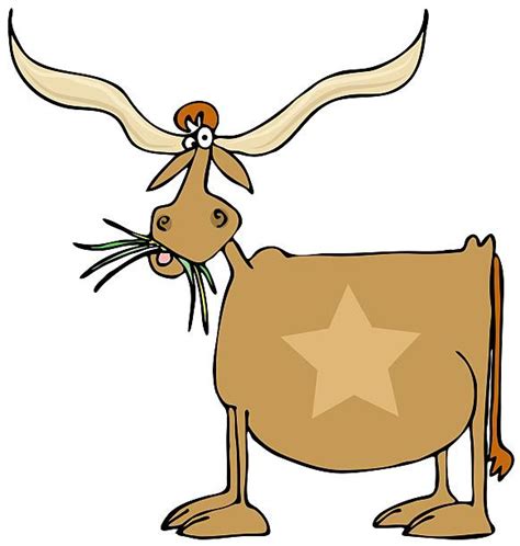 Best Cartoon Of The Longhorn Bull Illustrations, Royalty-Free Vector ...