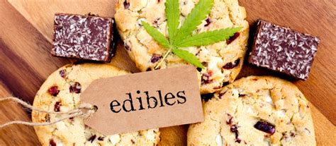 cannabis-edibles-a-guide-for-beginners - Women Daily Magazine