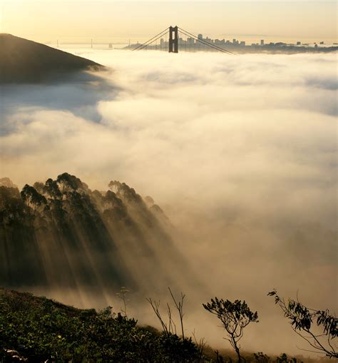 Sea Fog Over Coastal California Contains Mercury - Earth.com