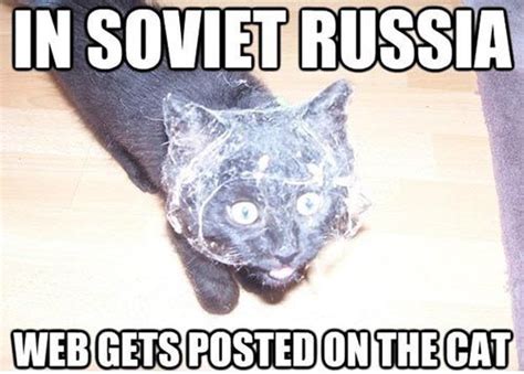 Soviet Kitty | In soviet russia, Funny cats, Cat memes