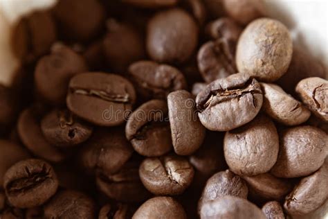 Dark Roasted Arabica Coffee Beans Stock Image - Image of brew, flavor ...