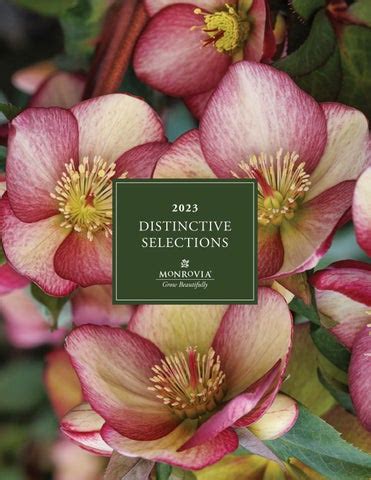 Monrovia Distinctive Selections 2023 by monroviaplants - Issuu