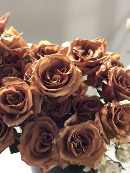 Toffee roses2 | Brown aesthetic, Brown flowers, Cream aesthetic