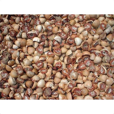 Powder Areca Nut at Best Price in Nagaon, Assam | Mahanta Enterprise