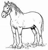 Realistic Horse Coloring Pages To Print  Home sketch template