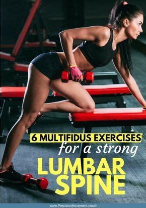 5 Multifidus Exercises for a Strong & Stable Lumbar Spine | Exercise ...