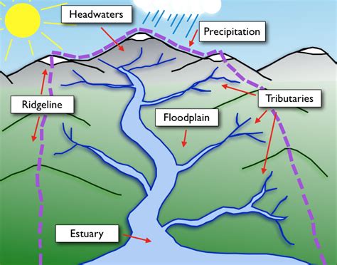 Managing water is crucial in designing and setting up a permaculture farm. No permaculture site ...