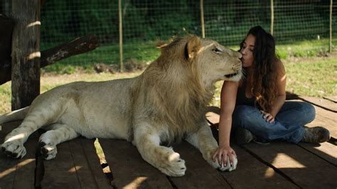 DO YOU HAVE A PET LION?