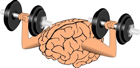 Brain training - Openclipart