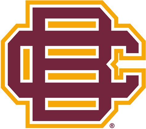 Bethune-Cookman Wildcats Secondary Logo (2010) - Basketball Court Layout, Basketball Knee ...