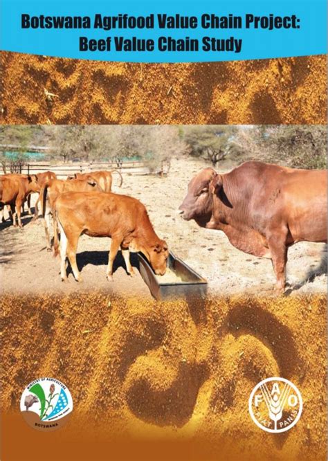 Botswana Agricultural Value Chain Project Beef Value Chain Study