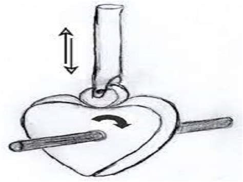 Camshaft: Types, Functions & Examples – StudiousGuy