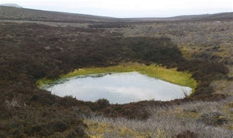 Wet Slack in an area of Shake Holes on... © Matthew Hatton :: Geograph Britain and Ireland