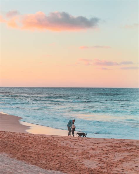 People Walking on Beach during Sunset · Free Stock Photo