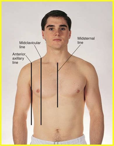 Anterior Axillary Line