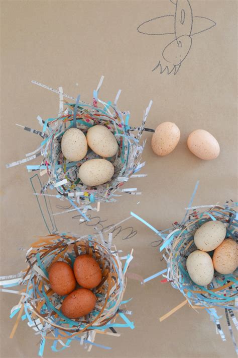 DIY Bird Nests (With images) | Bird nests art, Recycled paper art, Bird nest craft