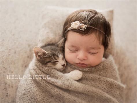 Local couple's baby-and-kitten video goes viral