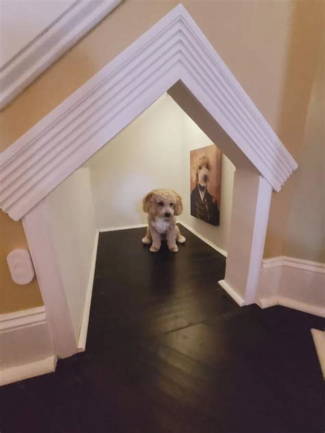 I built a dog house under the stairs! First time doing anything like this. : r/DIY