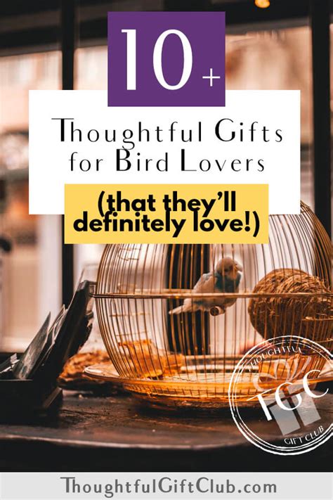 Thoughtful Gifts for Bird Lovers: 10+ Bird Gifts for Every Budget!