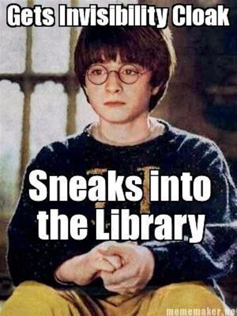 25 of the Most Hilarious 'Harry Potter' Memes | Inverse