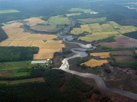 Wicomico Creek - Wicomico River Stewardship Initiative