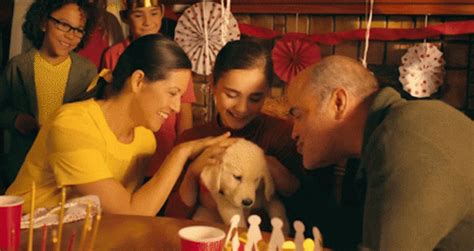 Petting Dog Puppy GIF - PettingDog Puppy FamilyPet - Discover & Share GIFs