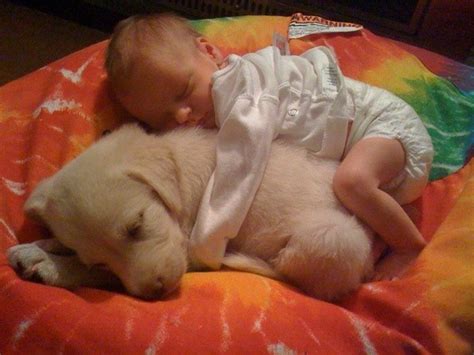 Adorable Photos of Cute Children Cuddling Animals | BOOMSbeat