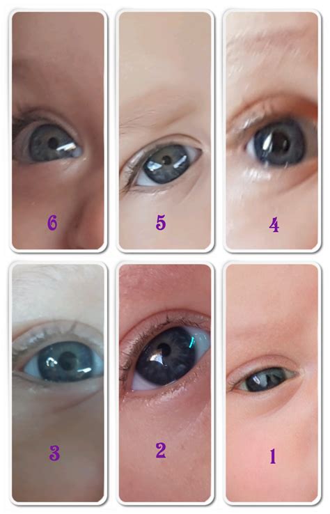 baby eye color calculator chart and predictor momjunction - how to choose your babys eye color ...