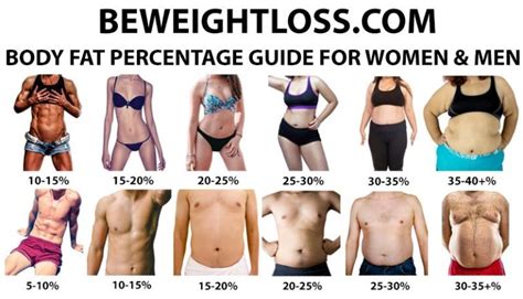 The Healthy Body Fat Percentage Chart For Men And Women - Exercise and Weight Loss Advice With BWL