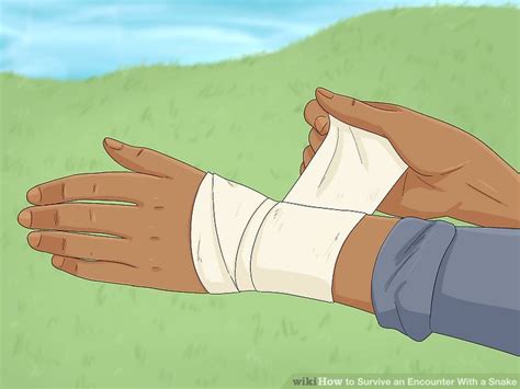 How to Survive an Encounter With a Snake