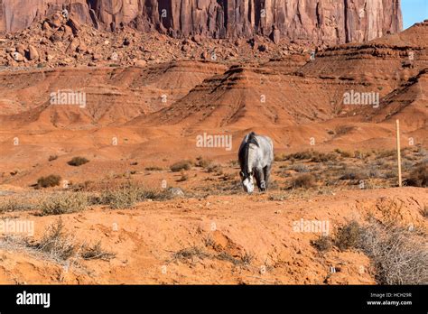 Monument Valley National Park in Arizona, USA Stock Photo - Alamy