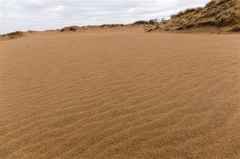 Premium Photo | Tottori sand dunes