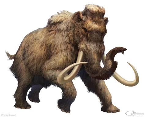 Mamut lanudo | Prehistoric animals, Prehistoric wildlife, Wooly mammoth