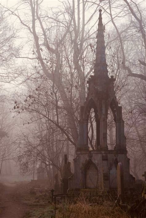 Pin by Sabrina De Nicola on mood board | Cemeteries, Cemetery, Spooky ...