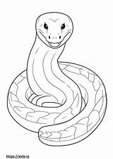 Eastern Rat Snake coloring Pages  Free Printable sketch template