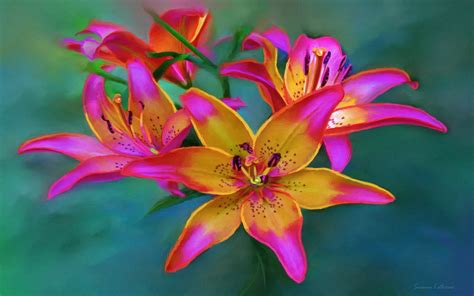 Download Colorful Colors Lily Flower Artistic Painting HD Wallpaper