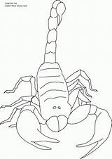 Scorpions Coloring Pages  Home sketch template
