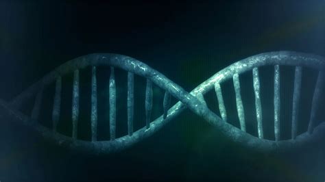 Human DNA Free Stock Photo - Public Domain Pictures