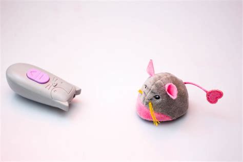 Cat Mouse Toy with Remote - Creative Commons Bilder