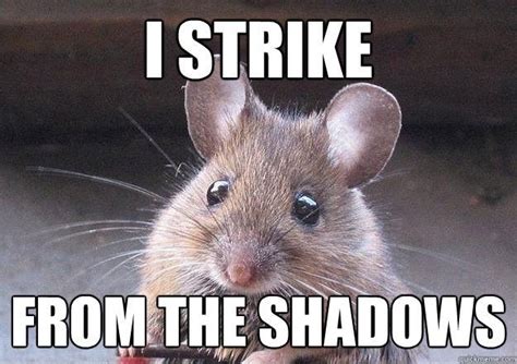 20 Mouse Memes You'll Find Adorable | SayingImages.com | Funny animals, Funny mouse, Mexican jokes