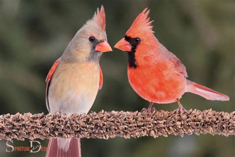 Cardinal Directions Spiritual Meaning: Meditation!