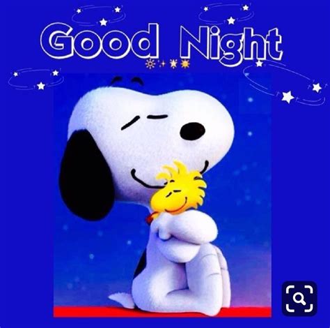 Pin by Tracey Goetheyn on snoopy | Goodnight snoopy, Good morning snoopy, Snoopy love