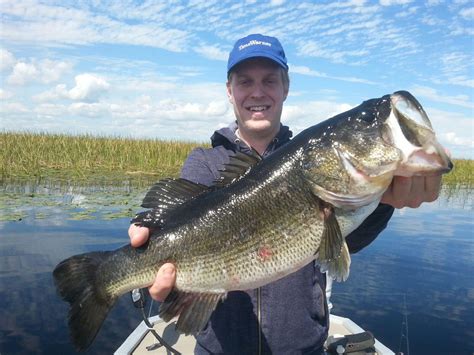 Bass Bass of Lake Okeechobee, Biting in April! – Lake Okeechobee Bass Fishing at it's BEST! Top ...