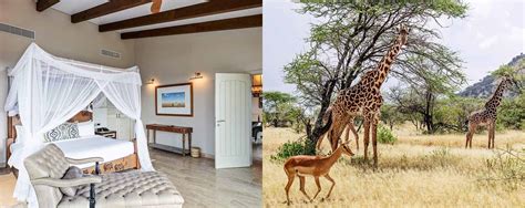 Melia Serengeti Lodge, Tanzania - AfricanMecca Safaris & Tours