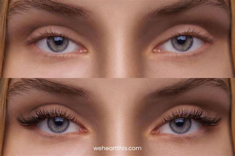 Cat Eyelash Extensions: Are They Perfect for Your Eye Shape?