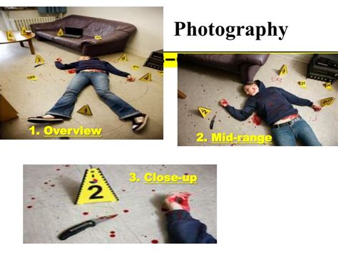 PPT - THE CRIME SCENE PowerPoint Presentation - ID:4047902