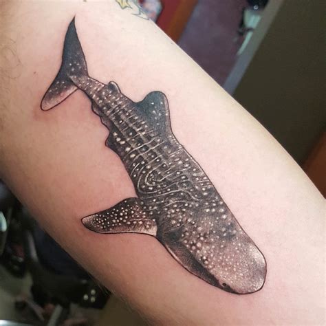 Pin by Skeet Skeet on Tattoo | Shark tattoos, Whale shark tattoo, Tattoos