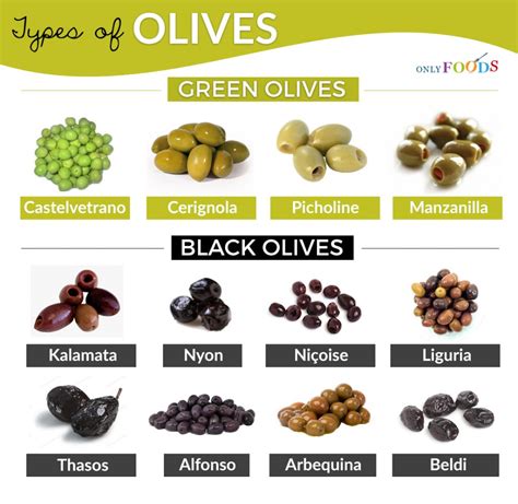 12 Different Types of Olives with Pictures