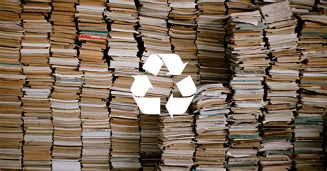 How to Recycle Books in 2024: A Complete Guide - BookScouter Blog