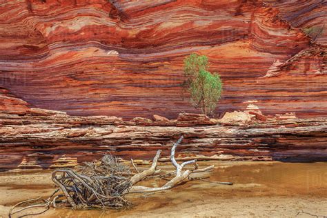 Desert rock formations, Kalbarri, Australia - Stock Photo - Dissolve